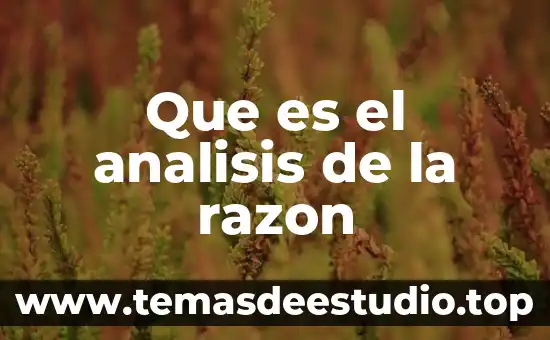 Qué es razón lógica 3 Que es el analisis de la razon