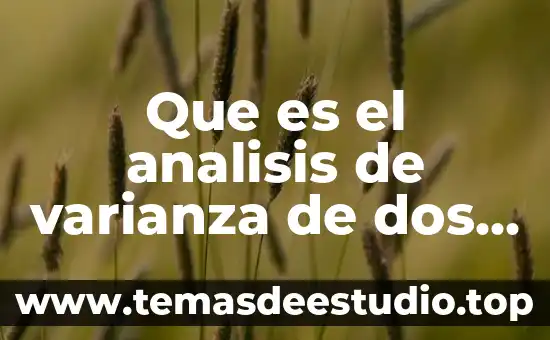 Que es el analisis situacional segun kotler 6 Que es el analisis de varianza de dos factores