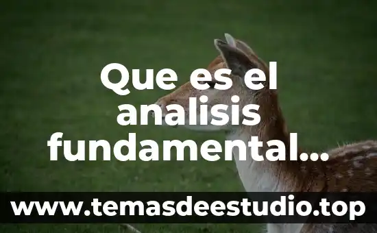 Que es el analisis fundamental del mercado de valores
