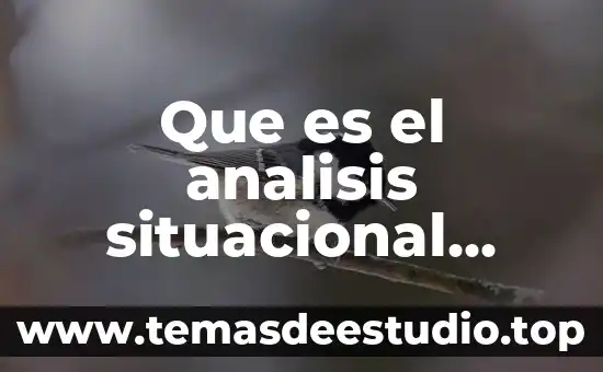 Que es el analisis de varianza de dos factores 3 Que es el analisis situacional segun kotler
