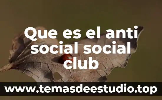 Que es el anti social social club
