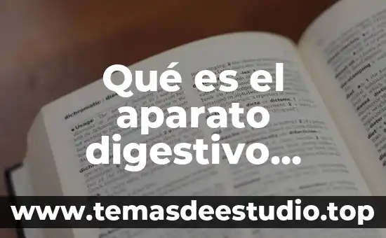 Qué es el aparato digestivo cuerpo humano