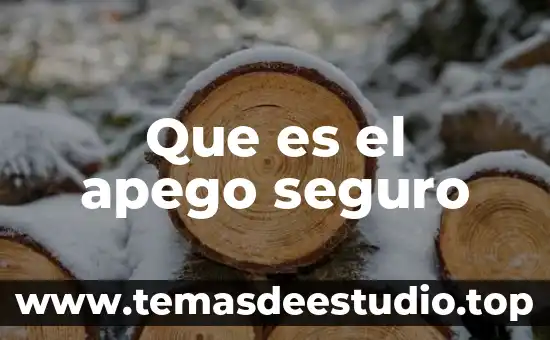 Que es el apego seguro