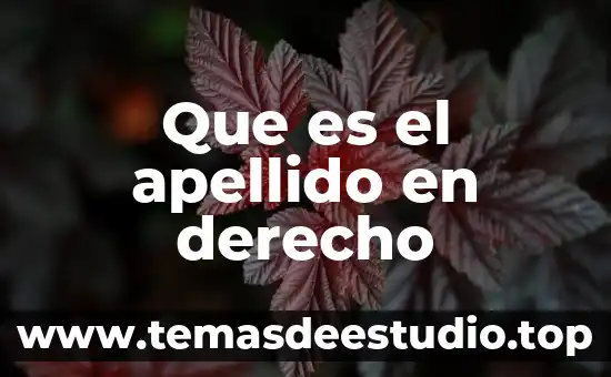 Qué es una tasa en derecho fiscal 4 Que es el apellido en derecho