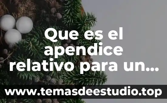 Qué es un irq y qué función realiza 7 Que es el apendice relativo para un contrato