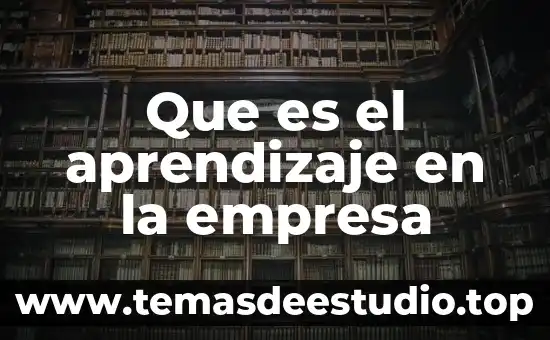 Que es el aprendizaje en la empresa