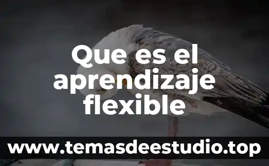 Que es disco flexible significado 8 Que es el aprendizaje flexible