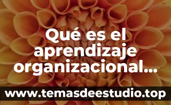 Que es una cultra organizacional 7 Qué es el aprendizaje organizacional según Armand