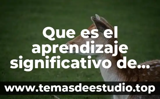 Que es pornografia unam 5 Que es el aprendizaje significativo de ausubel unam