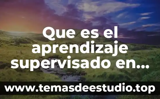 Por que es peligrosa la deep web 3 Que es el aprendizaje supervisado en deep learning