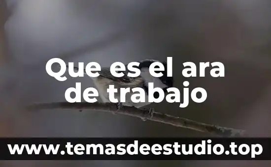 Que es el ara de trabajo