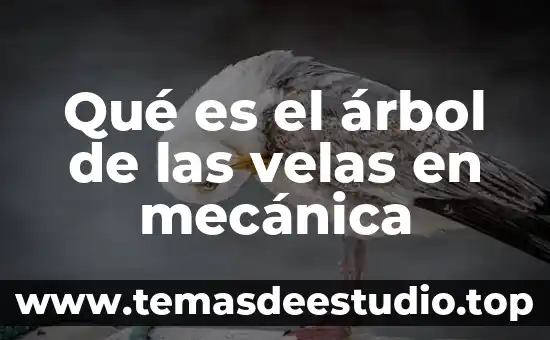 ¿Qué es un árbol en teoría de grafos? 3 Qué es el árbol de las velas en mecánica