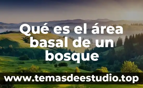 Qué es el área basal de un bosque