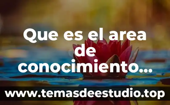 Qué es la contabilidad forense y para que sirve 8 Que es el area de conocimiento en contabilidad
