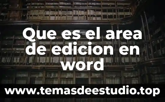 Que es la edicion en un periodico 3 Que es el area de edicion en word