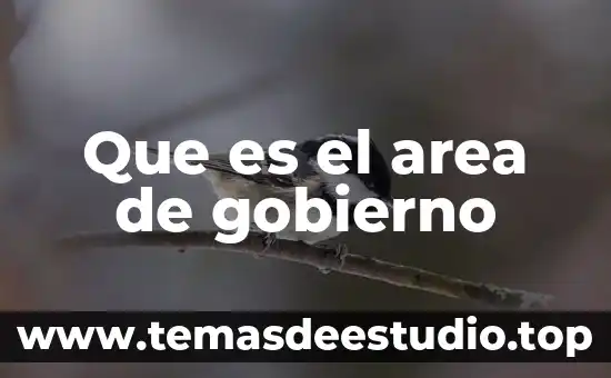 Qué es un área de intervención concepto 8 Que es el area de gobierno
