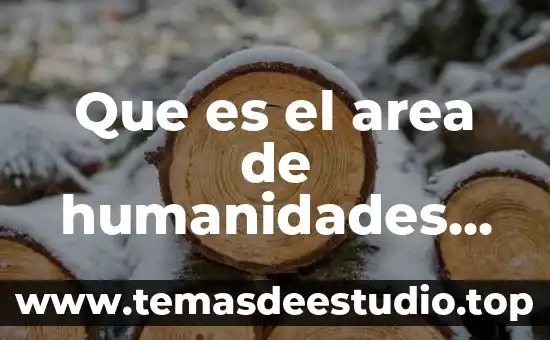 Que es las ciencias humanidades 3 Que es el area de humanidades enfoque