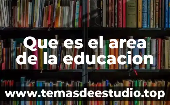 Que es habilidad en educacion fisica significado 3 Que es el area de la educacion