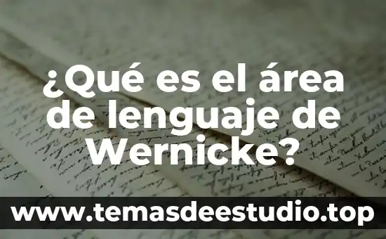 ¿Qué es el área de lenguaje de Wernicke?