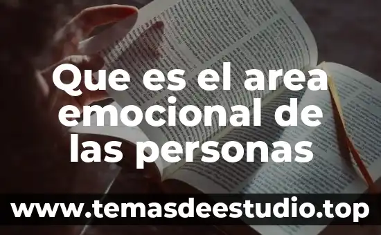 Que es controvertido otras palabra 3 Que es el area emocional de las personas