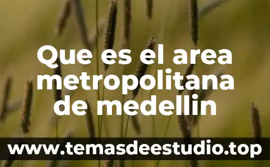 Que es el area metropolitana de medellin