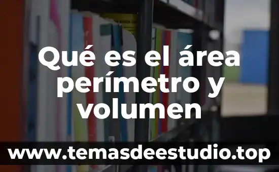 Que es volumen concavo en arquitectura 4 Qué es el área perímetro y volumen