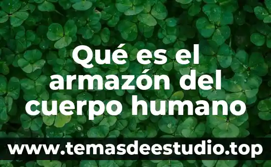 Decir que es un gran ser humano carta 5 Qué es el armazón del cuerpo humano