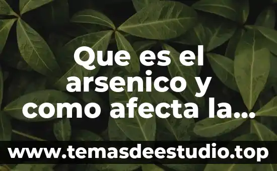 Que es una creencia en salud 8 Que es el arsenico y como afecta la salud