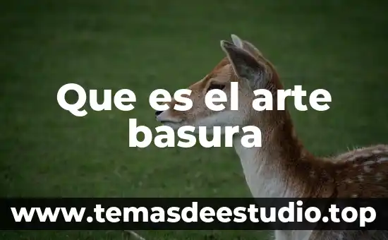 Que es el arte basura