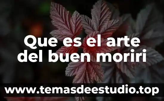 Que es el arte del buen moriri