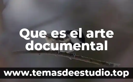 Que es el arte documental