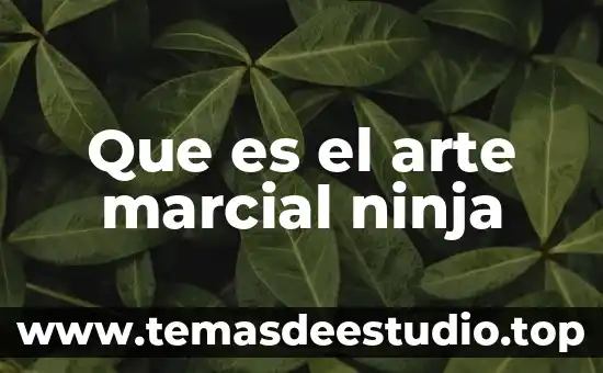 Que es el arte marcial ninja