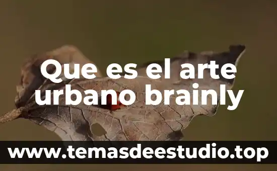 Que es el arte urbano brainly