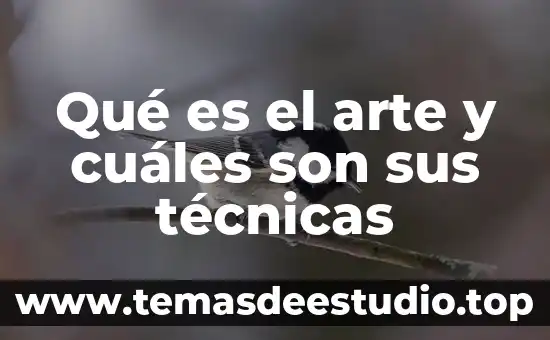 En el arte que es el equilibrio 8 QuƩ es el arte y cuƔles son sus tƩcnicas