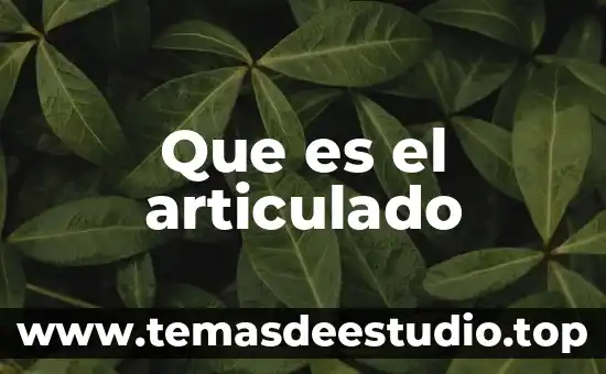 Qué es la democracia en forma de sociedad 5 Que es el articulado