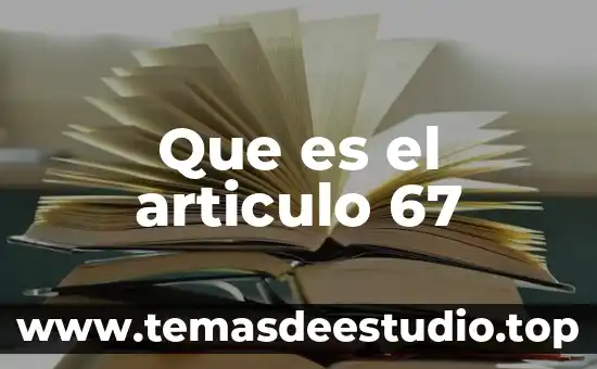 Que es jaguares animal 7 Que es el articulo 67