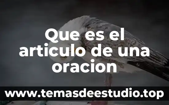 Que es un articulo en logistica 3 Que es el articulo de una oracion
