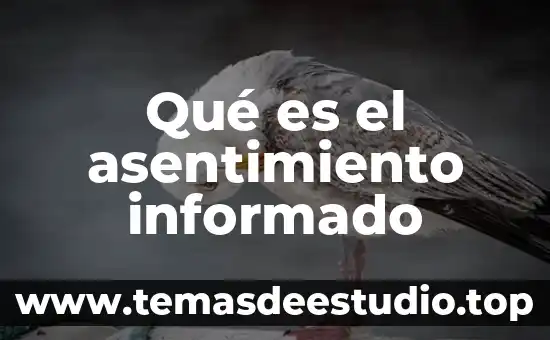 Que es asentimiento informado 3 Qué es el asentimiento informado