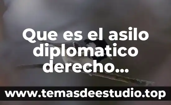Qué es derecho diplomático definición autores 6 Que es el asilo diplomatico derecho internacional publico