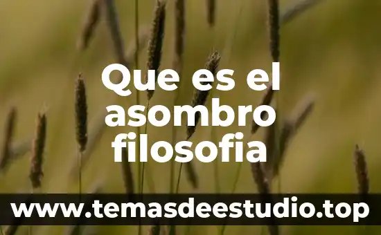 Análisis de qué es la filosofía 7 Que es el asombro filosofia