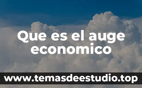 Que es ser una empresa eficiente 5 Que es el auge economico