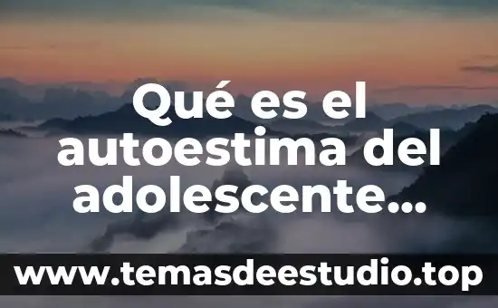 Que es prevención de la violencia contra la mujer 7 Qué es el autoestima del adolescente por la violencia familiar
