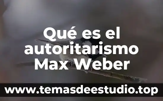 Que es la axiologia segun max scheler 5 Qué es el autoritarismo Max Weber