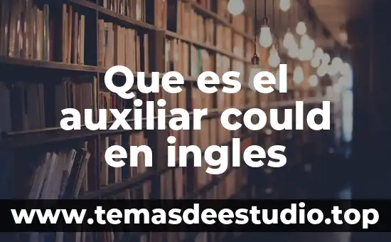 Que es el auxiliar could en ingles