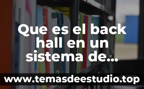 Qué es la democracia en forma de sociedad 3 Que es el back hall en un sistema de microondas