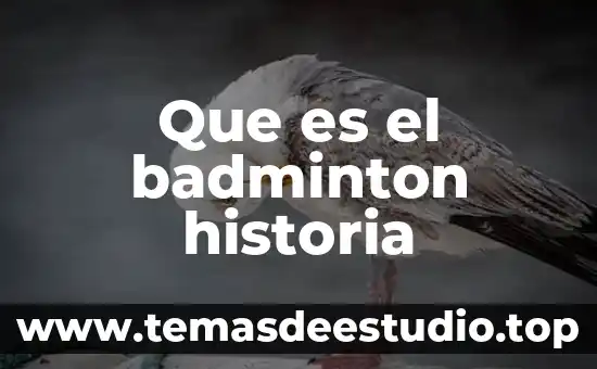 Que es el badminton historia