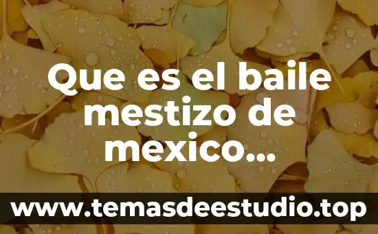 Que es la firma electronica avanzada en mexico 5 Que es el baile mestizo de mexico caracteristicas