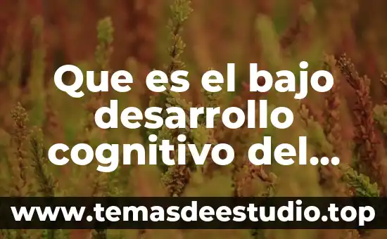 Por qué es importante abarcar los derechos en preescolar 5 Que es el bajo desarrollo cognitivo del niño preescolar