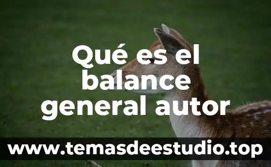 Qué es el balance general autor