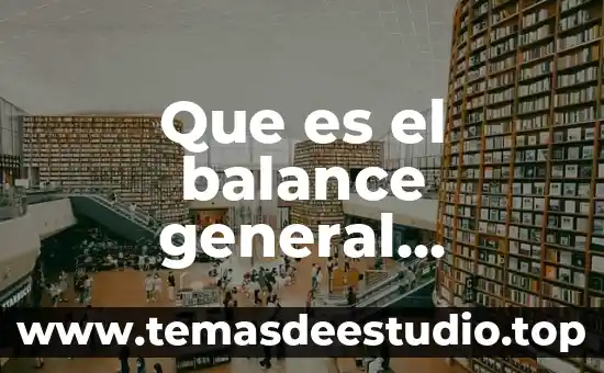 Que es el balance general economía